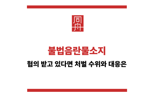 불법음란물소지