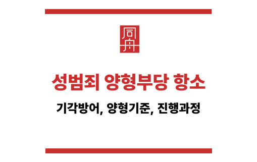 성범죄 양형부당 항소