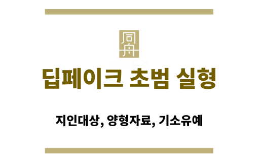 딥페이크 초범 실형