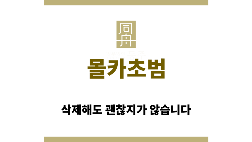 몰카초범
