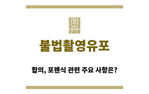 불법촬영유포