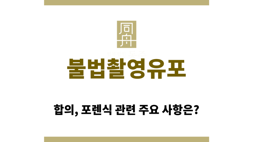 불법촬영유포