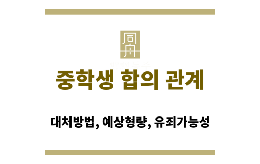 중학생 합의 관계