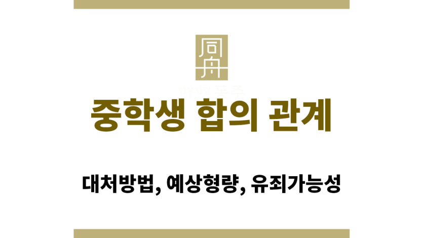 중학생 합의 관계