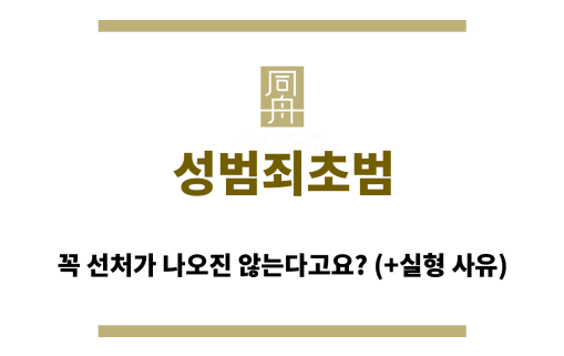 성범죄초범