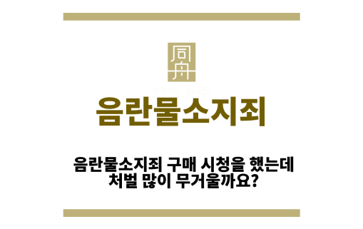 음란물소지죄