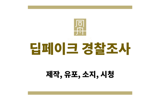 딥페이크 경찰조사