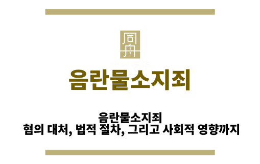 음란물소지죄