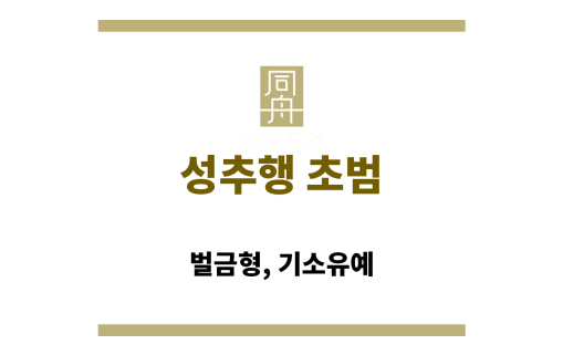 성추행 초범: 벌금형, 기소유예