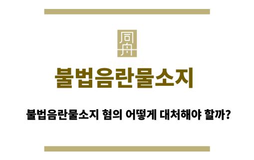 불법음란물소지