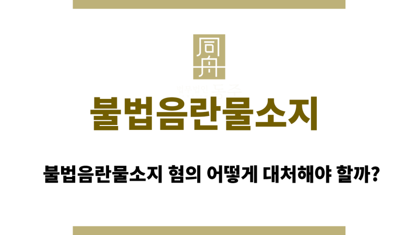 불법음란물소지