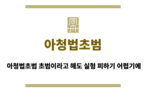 아청법초범