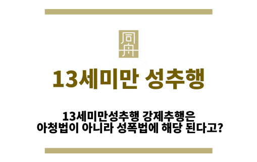 13세미만성추행