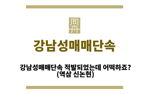 강남성매매단속