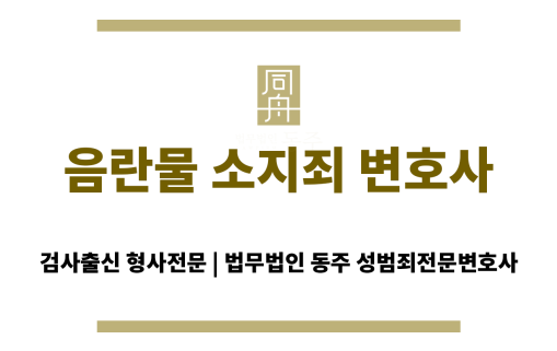 음란물 소지죄 변호사 상담 장면