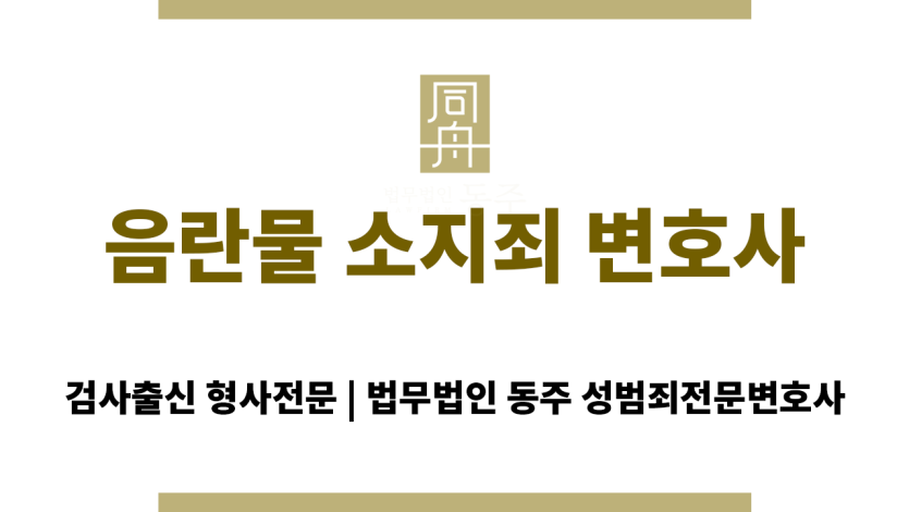 음란물 소지죄 변호사 상담 장면