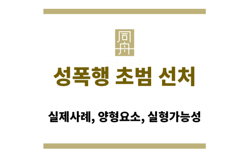 성폭행 초범 선처 사례 설명 이미지
