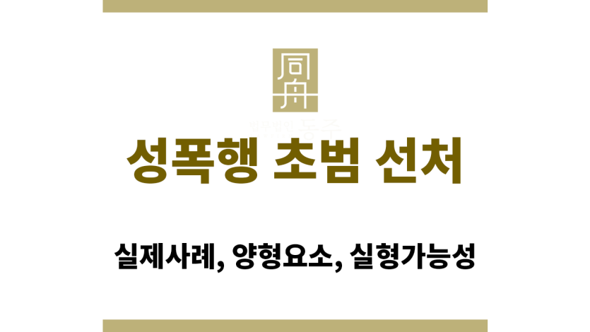 성폭행 초범 선처 사례 설명 이미지