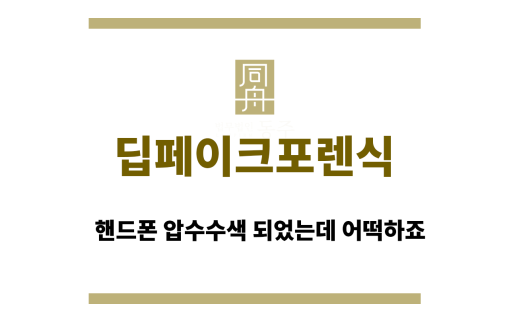 딥페이크포렌식
