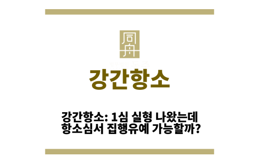 강간항소
