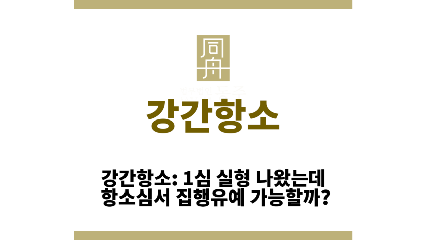 강간항소