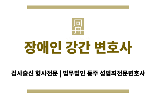장애인 강간죄의 성립 요건과 관련 형법 조항을 설명하는 법률 개요 이미지