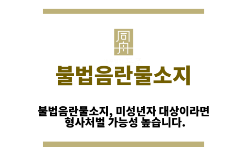 불법음란물소지