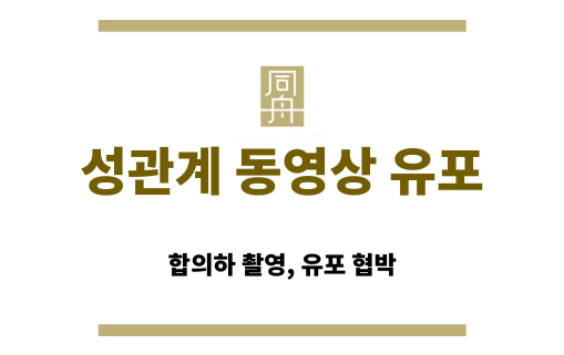 성관계 동영상 유포와 처벌 기준을 설명하는 법률 조항 스크린샷