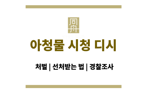 아청물 시청 디시