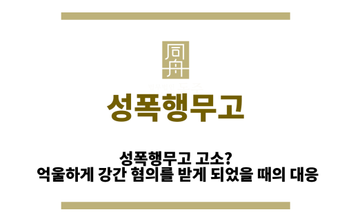 성폭행무고
