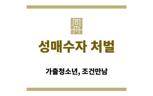 성매수자 처벌 관련 청소년성보호법 조항 요약 이미지
