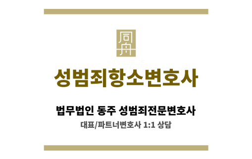 성범죄 항소 절차 및 주요 대응 전략 흐름도