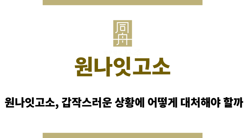 원나잇고소