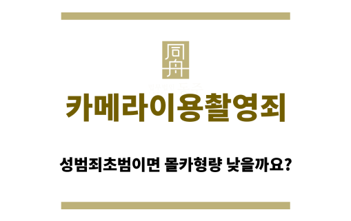 카메라이용촬영죄
