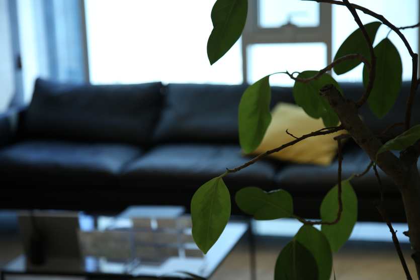 내발산동아동성범죄변호사 디지털 증거 분석 및 방어