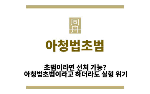 아청법초범