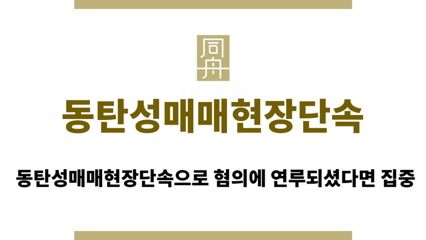 동탄성매매현장단속