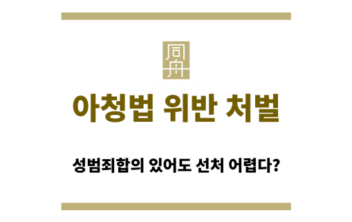 아청법 위반 처벌