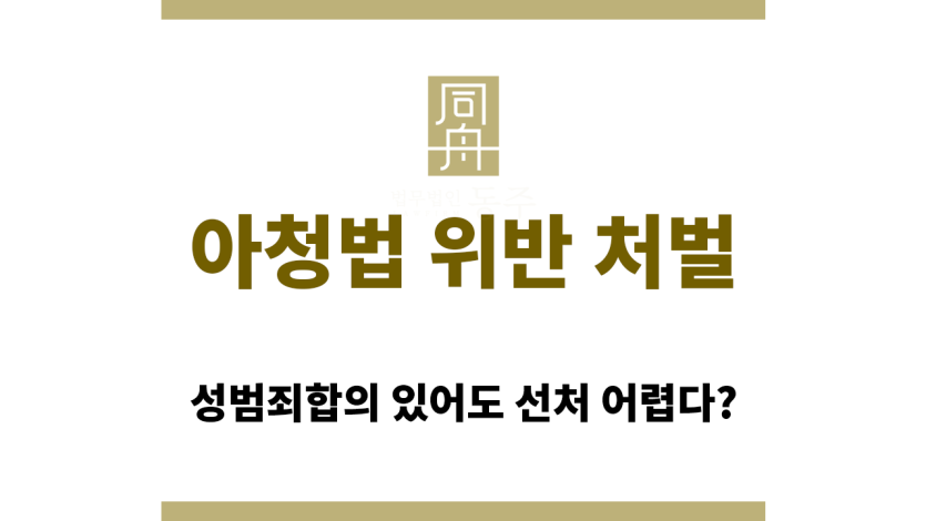 아청법 위반 처벌