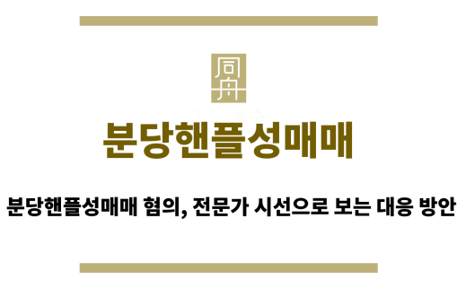 분당핸플성매매