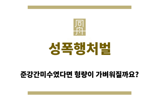 성폭행처벌