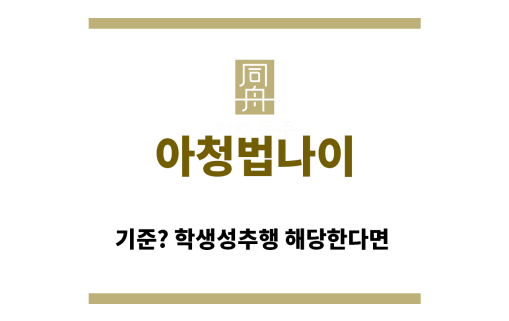 ＂아청법나이“