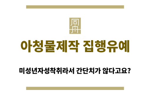 아청물제작 집행유예