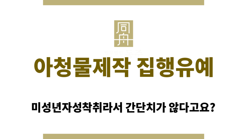 아청물제작 집행유예