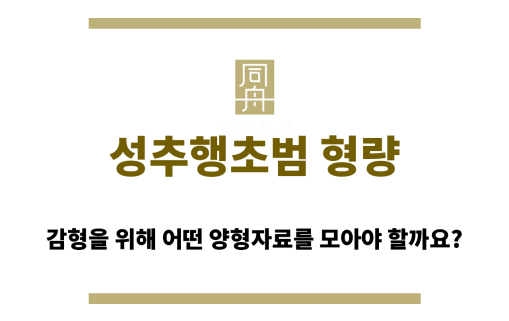 성추행초범 형량