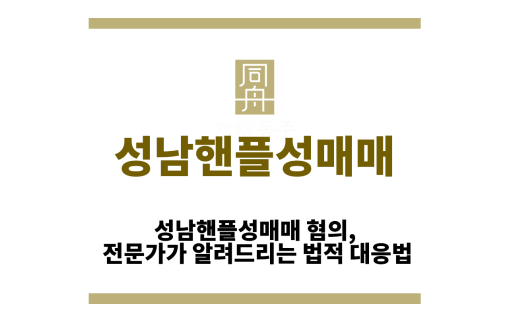 성남핸플성매매