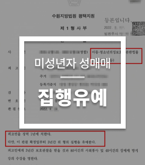 성범죄대표사례10